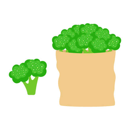 cartoon broccoli isolated on white background, paper shopping bag with organic vegetable, vector illustration in flat styleのイラスト素材