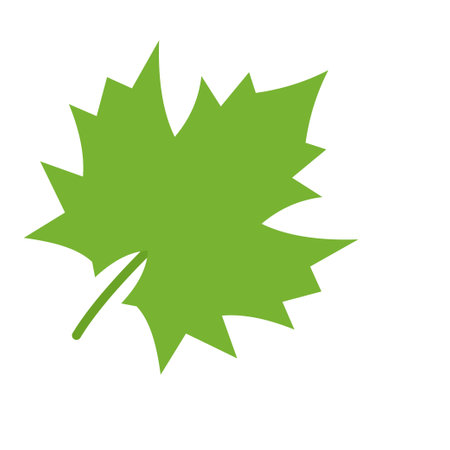 Green grape leaf isolated on white background. vector illustration.のイラスト素材