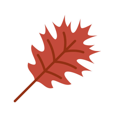 Red oak leaf icon. Autumn leaves of red oak isolated on a white background. vector illustration.のイラスト素材