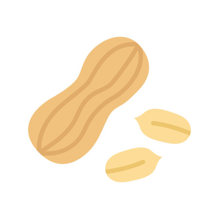 Peanut icon. Peanuts in the shell, kernel. Vector illustration isolated on white background.のイラスト素材