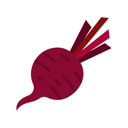 Beet or beets beetroot vegetable or radish icon. vector illustrationのイラスト素材
