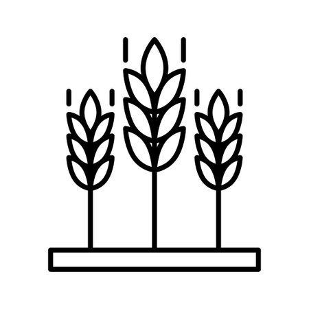 Wheat spikelet icon. Pictogram isolated on white background. vector illustration.のイラスト素材
