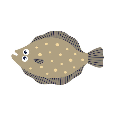 cartoon cute flounder or flatfish type of fish, flat vector illustration isolated on white backgroundのイラスト素材