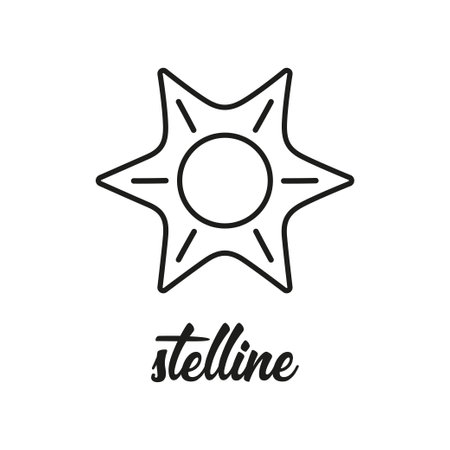 stelle pasta illustration, stelline vector sketch, traditional Italian food, black and white pasta isolated on white backgroundのイラスト素材