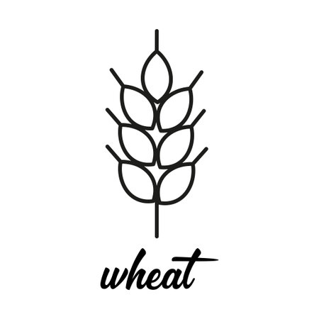 wheat ear line icon, outline vector sign, vector illustration isolated on white background, symbol for organic food designのイラスト素材