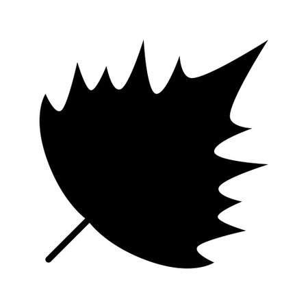 Sycamore leaf icon. Popular or ivy. Hawthorn leaf isolated on a white background. Vector illustrationのイラスト素材