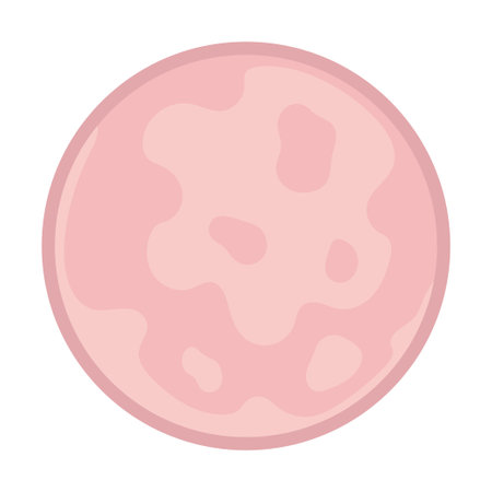 vector illustration of smoked ham, delicious sliced ham isolated on whiteのイラスト素材