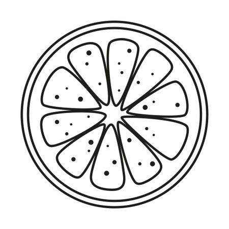 lemon or orange slice in line art style, tropical summer citrus fruit piece, flat vector illustration isolated on white backgroundのイラスト素材