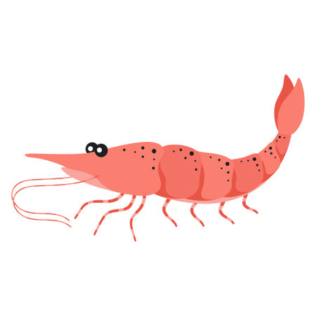 shrimp icon in flat style, fresh seafood isolated on white background, vector illustrationのイラスト素材