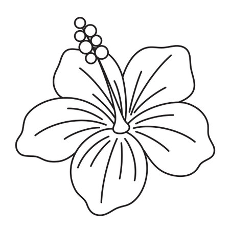 beautiful hibiscus flower in outline, black and white flat vector illustrationのイラスト素材