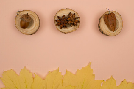Anise on a pink background with leaves.の写真素材