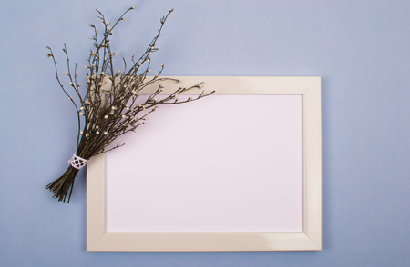 Dry bouquet on a white frame.の写真素材