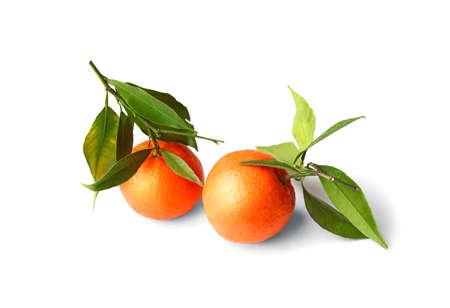 Orange Clementines, tangerines or mandarines isolated on white background.の写真素材
