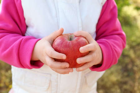 Image of a child who is holding a ripe red apple on a light background. Girl holding an apple on nature close-up. Vitamins and organic foods in baby food.の写真素材