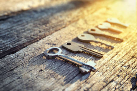 Collection of old keys in line, soft focus. Shabby keys of different shapes in the rays of sunlight. The mysticism and mystery of antiques.の写真素材