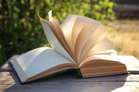 Open old book on a wooden board and a background of greenery. The wind is turning pages. Reading and knowledge. Information and its meaning.の写真素材