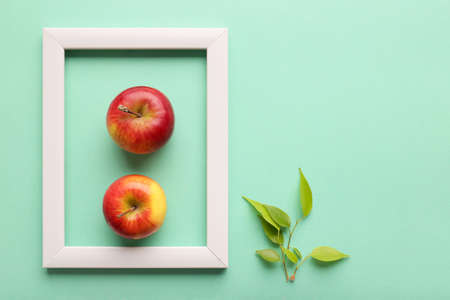 White frame and sprout on a fresh green background .. Mock up photo frame. Save the planet consept, eco friendly lifestyle.の写真素材