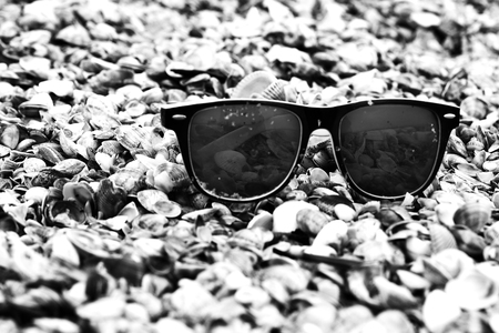 Sunglasses on seashells on the seashore close-up.の写真素材