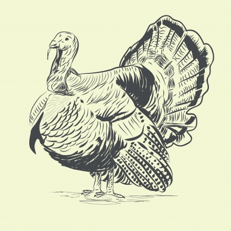 Retro vector illustration of turkeyのイラスト素材