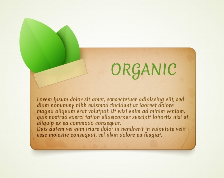 eco friendly paper template banner のイラスト素材