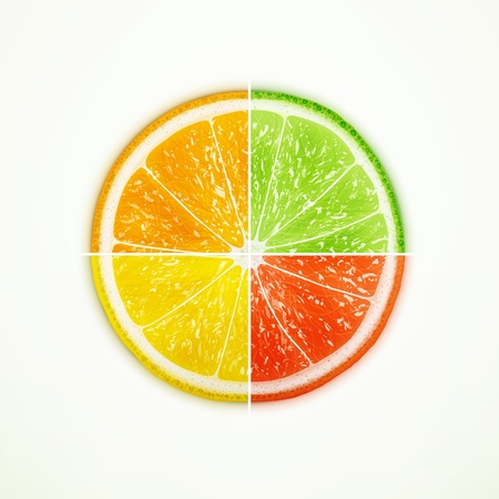 Orange, lime, lemon and grapefruit quartered のイラスト素材