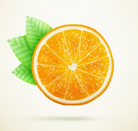 fresh orange with leavesのイラスト素材