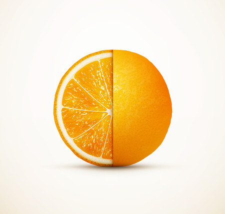 Fresh orange fruit cut on halfのイラスト素材