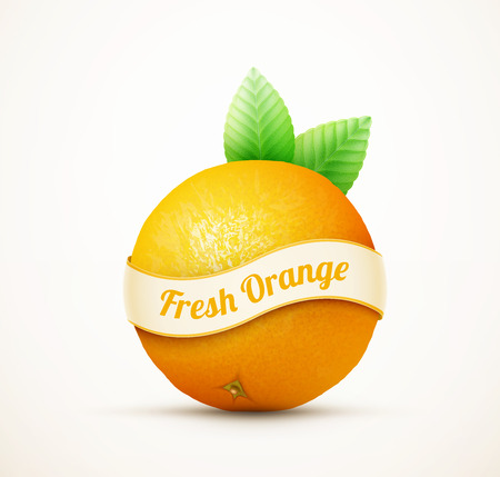Fresh orange fruit with green leavesのイラスト素材