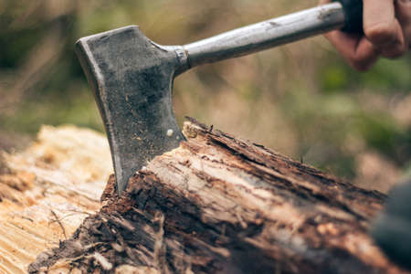 A man is chopping a tree. Ax close up.の写真素材