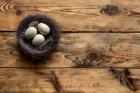 A quail egg on a wooden background on nestの写真素材