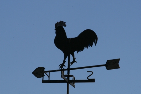 Weathervane in the form of a roosterの写真素材