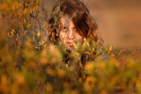 Beautiful naked woman between the bushesの写真素材