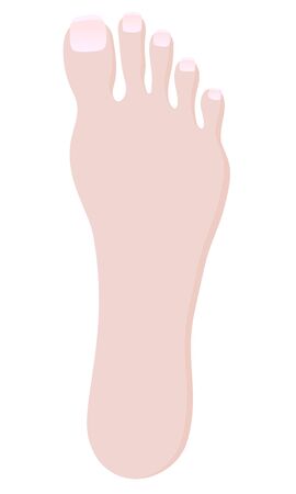 Illustration of foot with clean nailsのイラスト素材