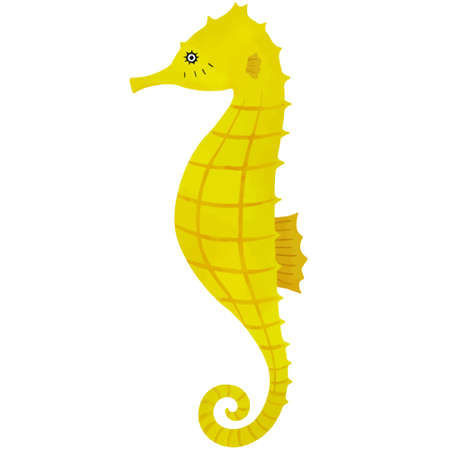 Vector illustration of seahorse on white backgroundのイラスト素材