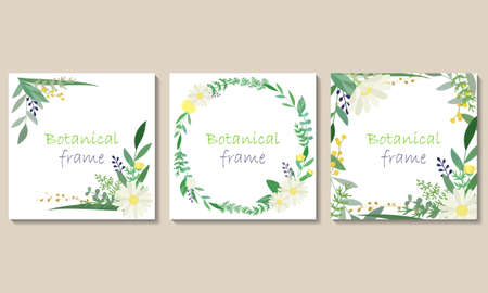 Botanical frame illustration set. Invitation or greeting card templates (vector, cut out)のイラスト素材