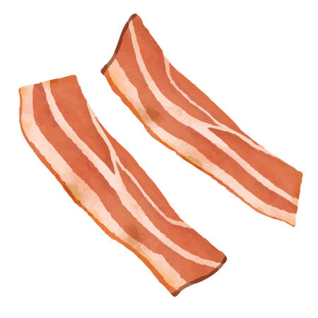 Illustration of bacon (white background, vector, cut out)