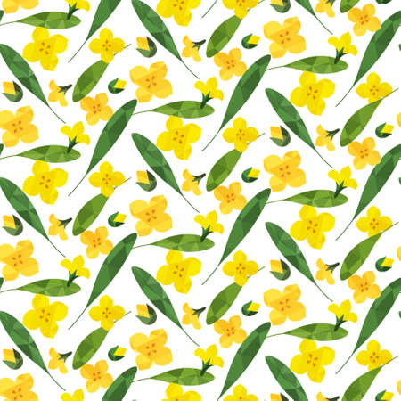 Canola flower seamless pattern illustration (vector)のイラスト素材