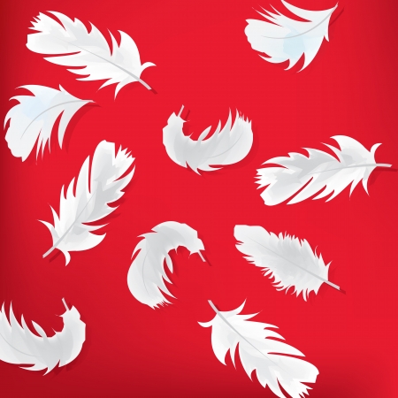 Red abstract background with feathersのイラスト素材