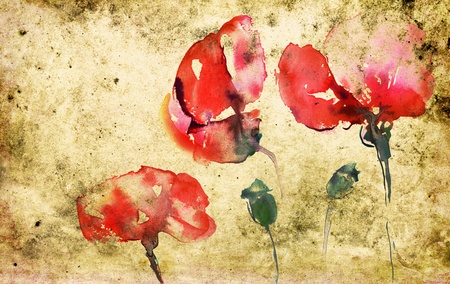 poppies in watercolor on textured backgroundの写真素材