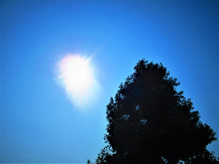 Sun and skyの写真素材