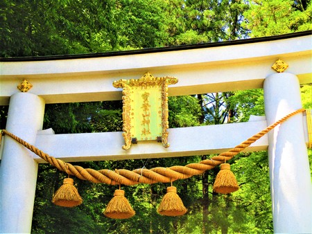 Treasure mountain shrineの写真素材