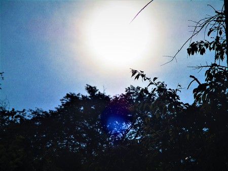 Gentle lightの写真素材