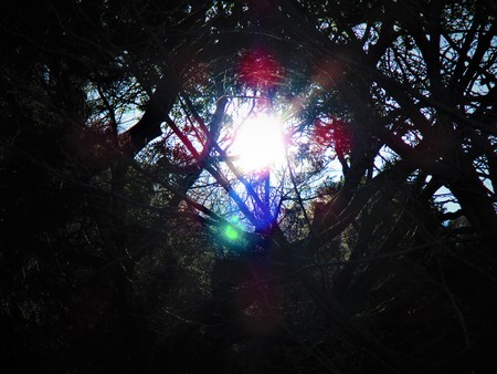 The light from the darknessの写真素材