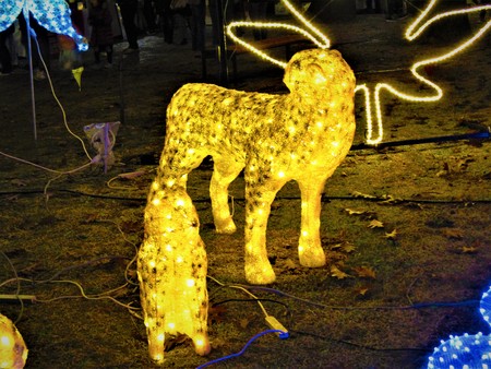 Animal glittersの写真素材