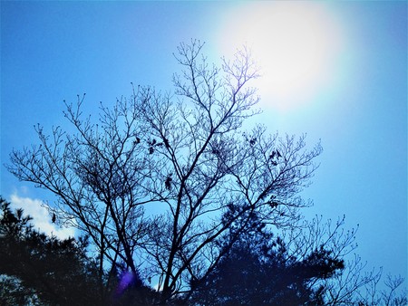 Winter sky and lightの写真素材