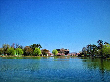 Natural water parkの写真素材