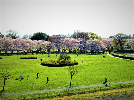 Spring Parkの写真素材