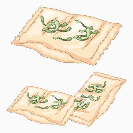 Vector illustration of a maultaschen a german meatfilled pasta dumplingsのイラスト素材