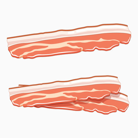 Set of slices of bacon. Vector illustration isolated on white background.のイラスト素材