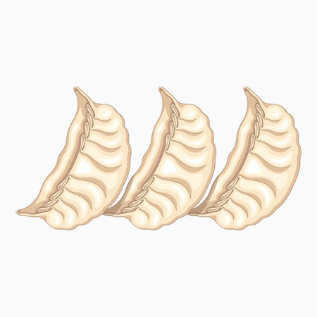Fried dumplings on a white background. Vector illustration.のイラスト素材